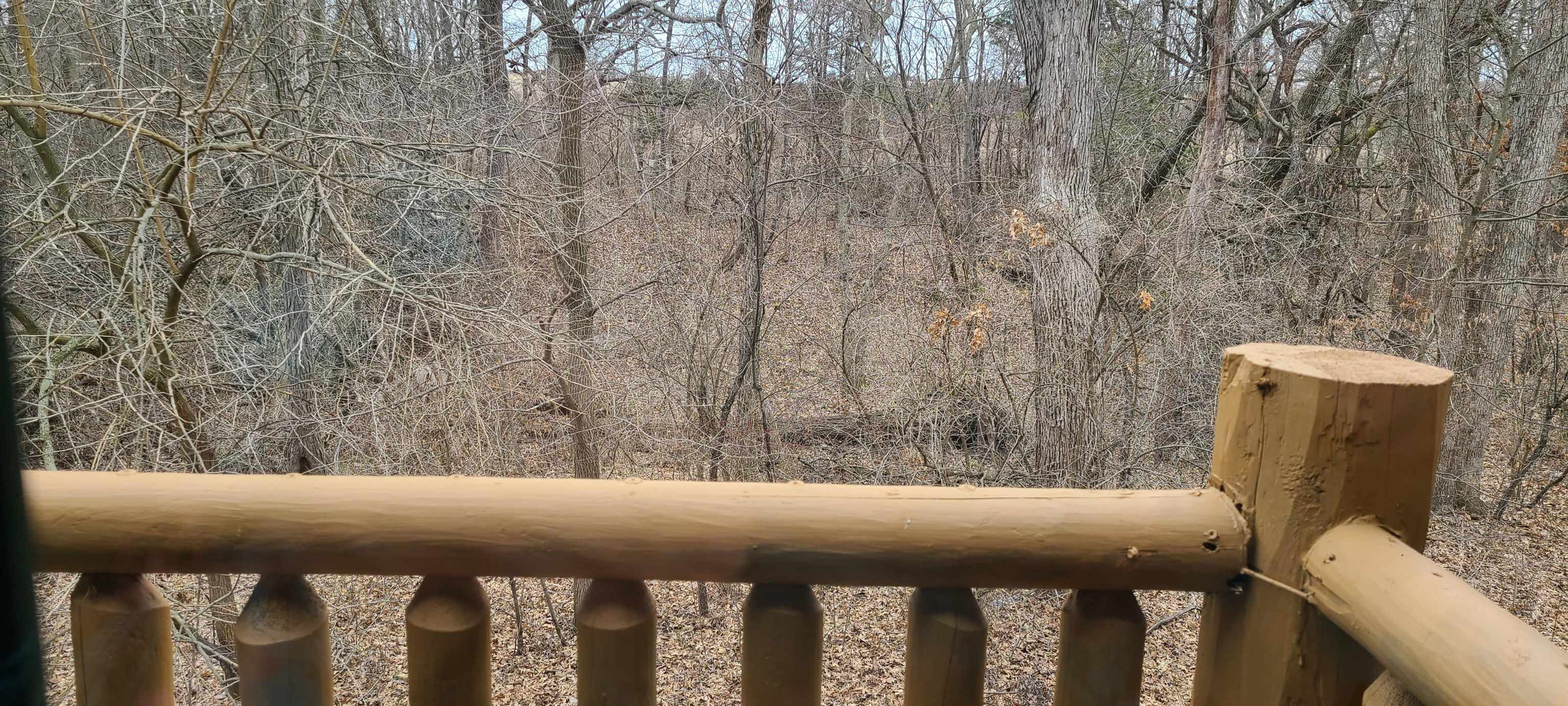 2643 Highway 178, Unit Q1 Utica, IL 61373 - Photo 18 of 21 a view of balcony with wooden floor
