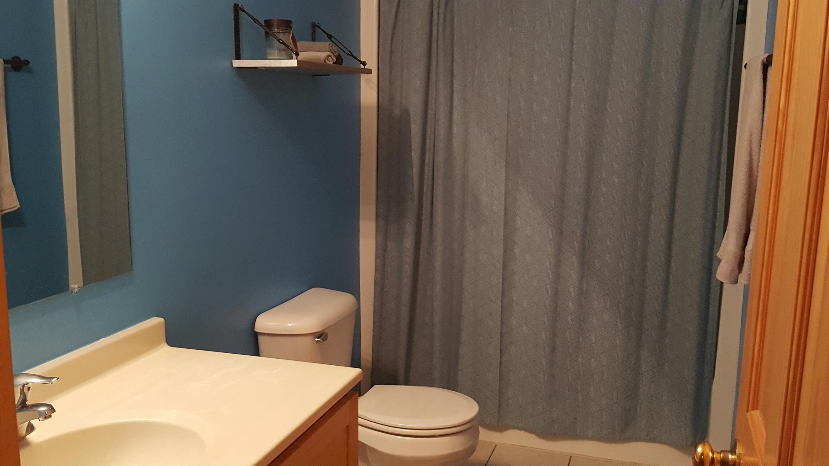 2643 Highway 178, Unit Q1 Utica, IL 61373 - Photo 10 of 21 a bathroom with a toilet a sink and curtain