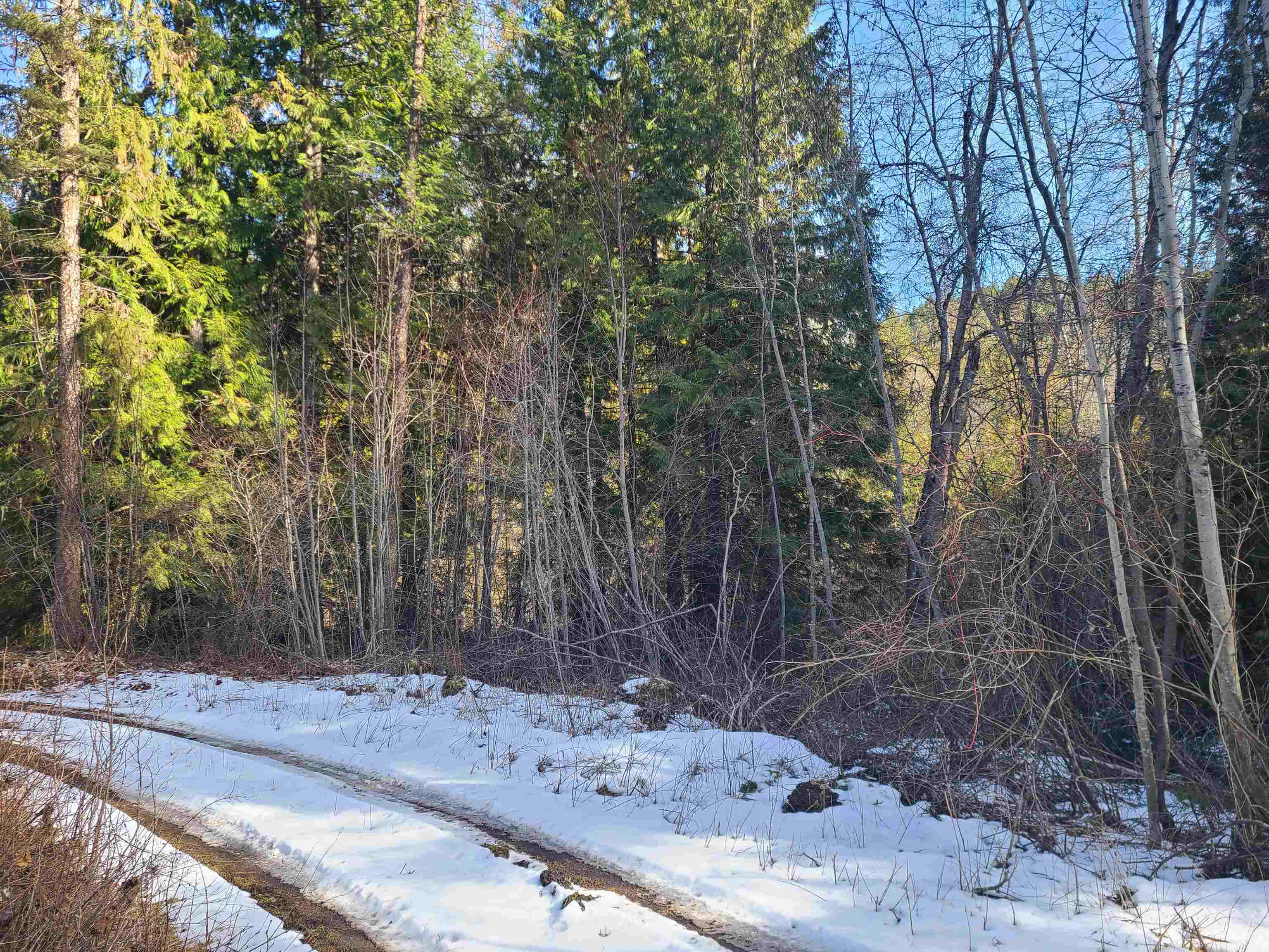 2584 F Bridgeman-Rettinger Road Kettle Falls, WA 99141 - Photo 4 of 21