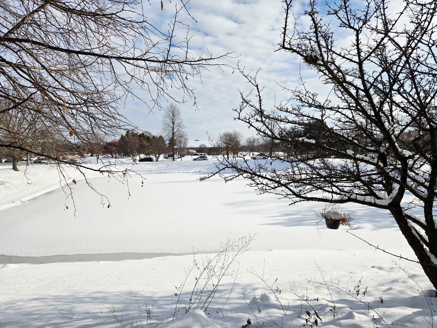 3357 Ravinia Circle, Unit 3357 Aurora, IL 60504 - Photo 28 of 30