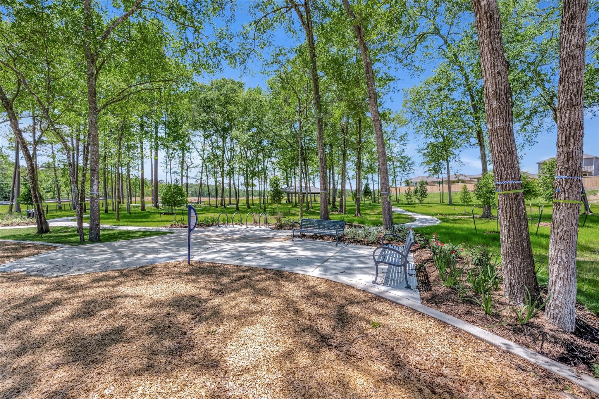 372 Sunrise Rnch Drive Montgomery, TX 77316 - Photo 28 of 32 Another serene park setting with a paved walkway, surrounded by tall trees and lush greenery. There are benches for relaxation and a bike rack, offering a peaceful retreat in a natural environment.