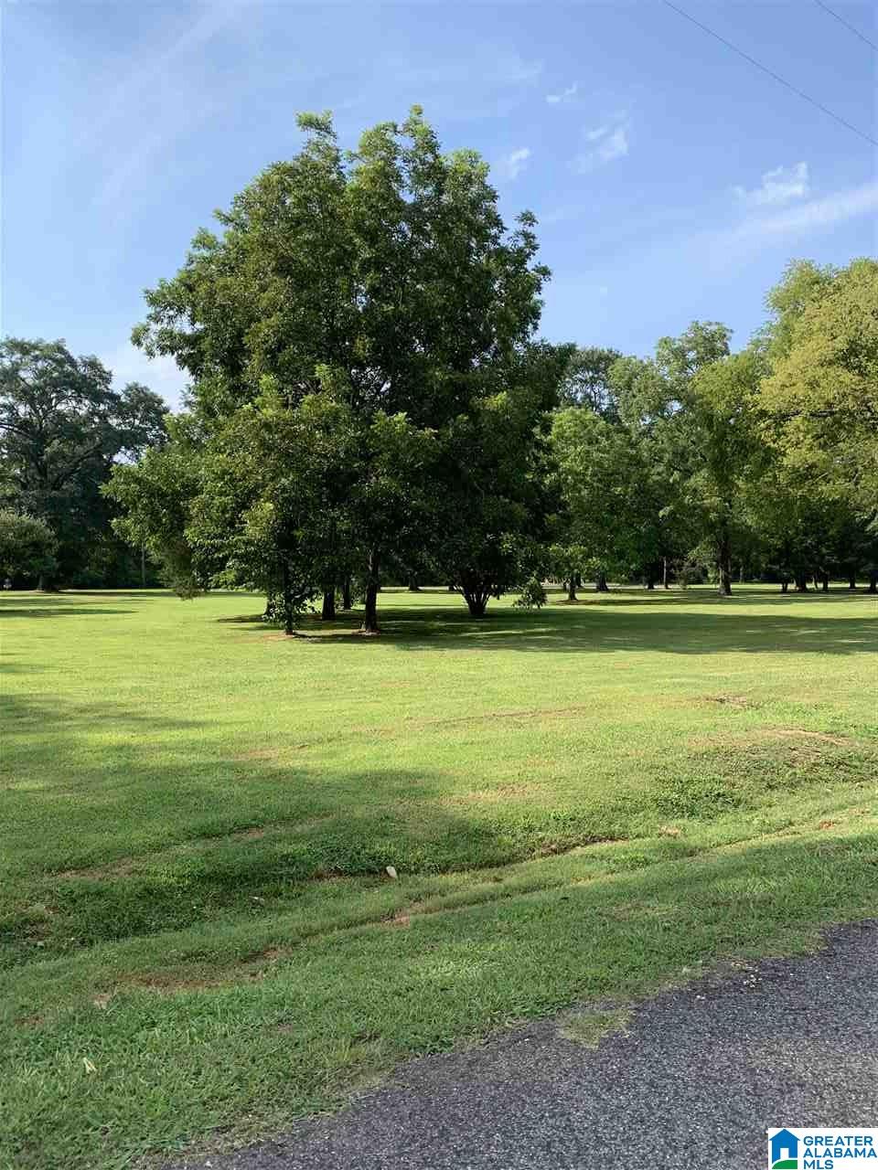 6240 Lane Street Pinson, AL 35126 - Photo 19 of 19