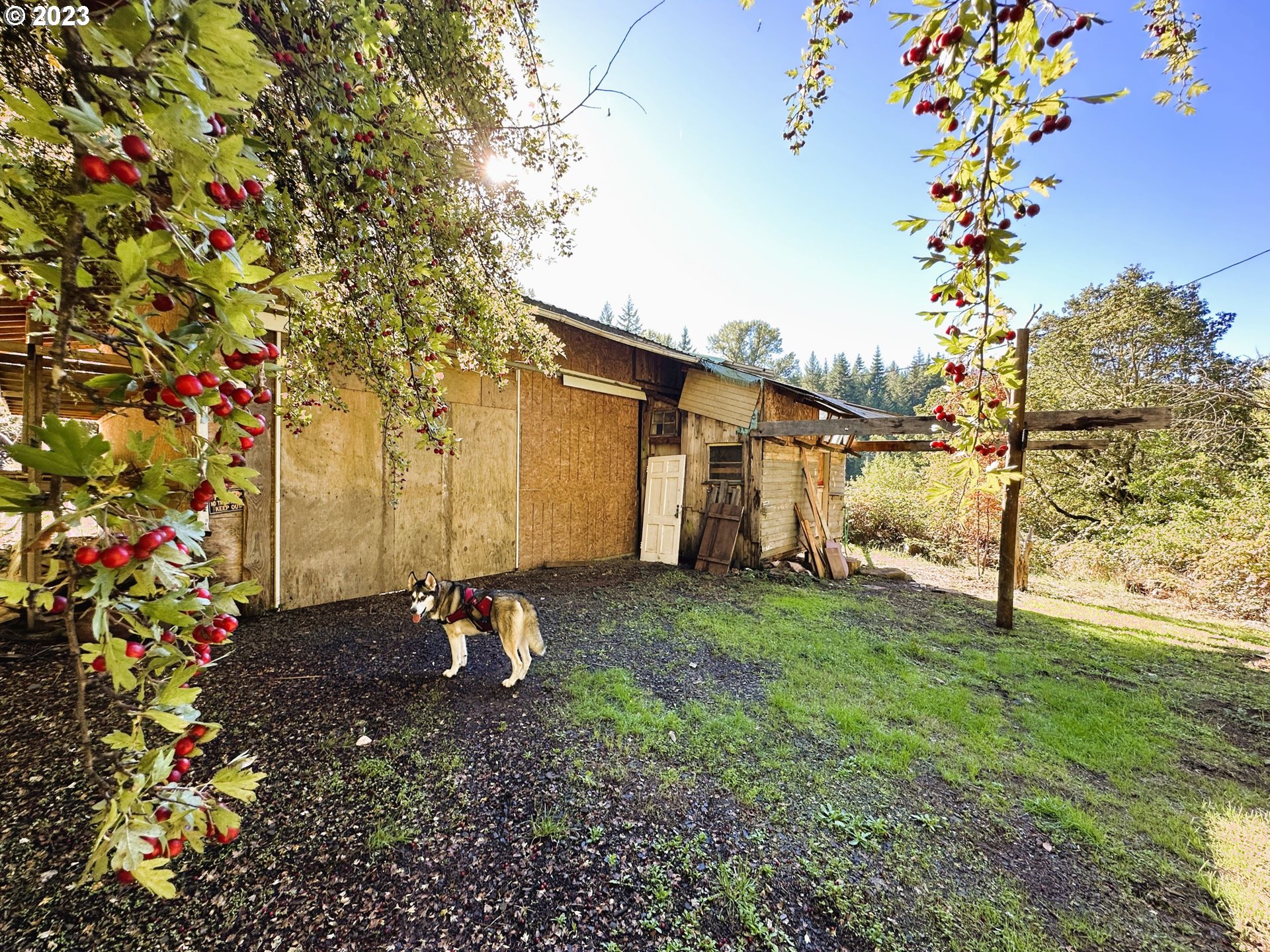 456 Wards Butte Road Cottage Grove, OR 97424 - Photo 20 of 48 Gallery Image 20