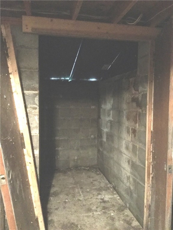 15407 East Lee Road Barre, NY 14470 - Photo 22 of 39 View of the bilco doors leading to the outside