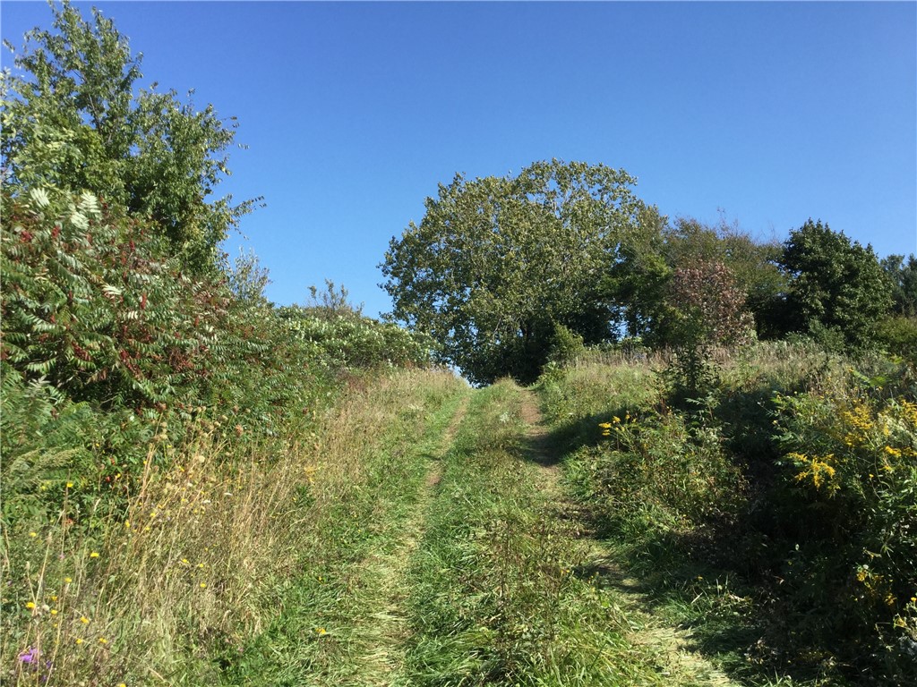 15407 East Lee Road Barre, NY 14470 - Photo 32 of 39