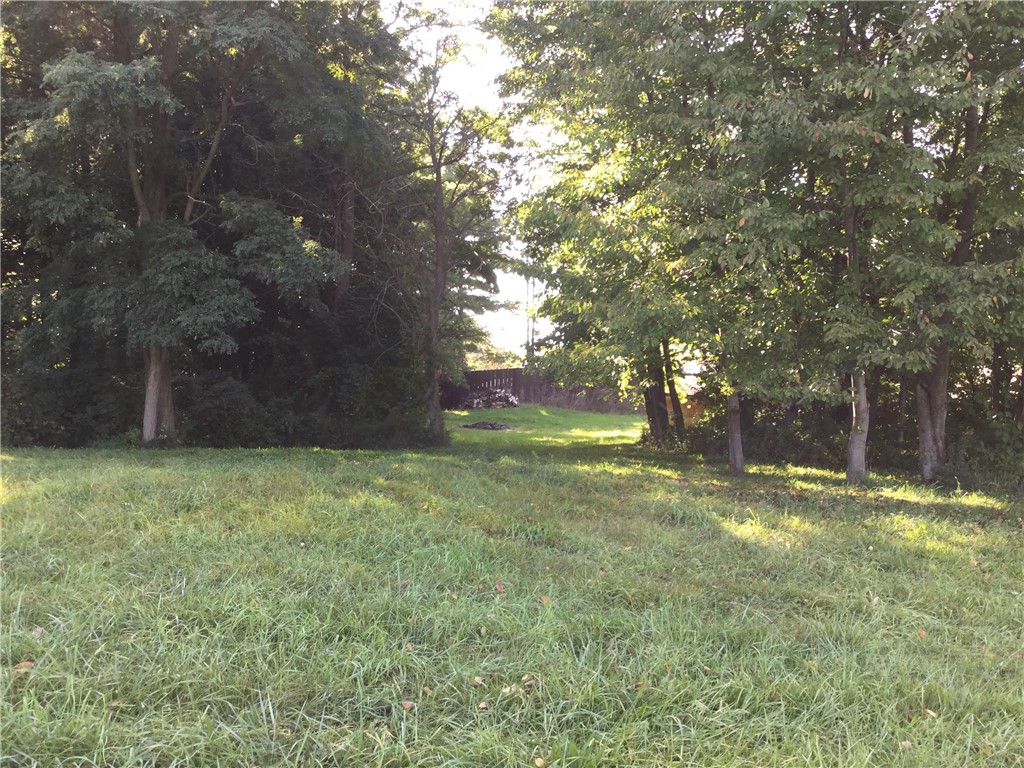 15407 East Lee Road Barre, NY 14470 - Photo 33 of 39 View through the trees looking at the the barn