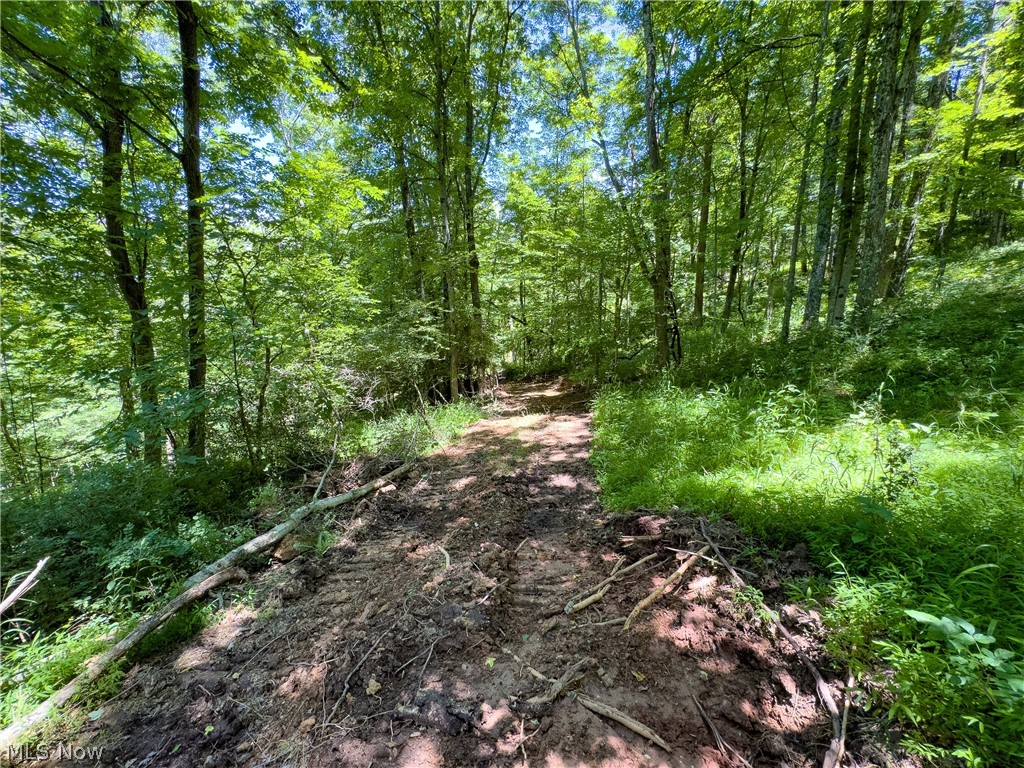 0 Long Hollow Road Pomeroy, OH 45769 - Photo 11 of 31