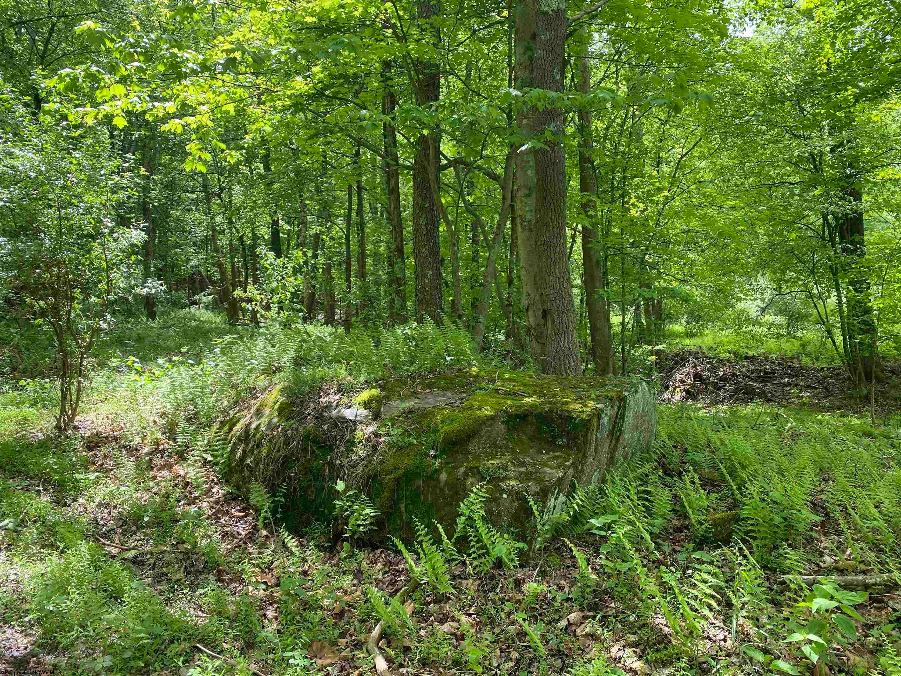 Tbd Dunham Lick Road Fairmont, WV 26554 - Photo 4 of 27 Gallery Image 4