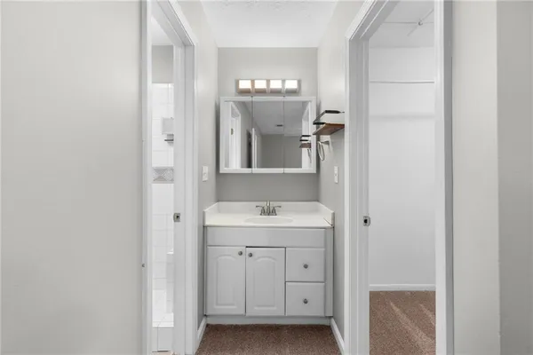 a bathroom with a sink and a mirror
