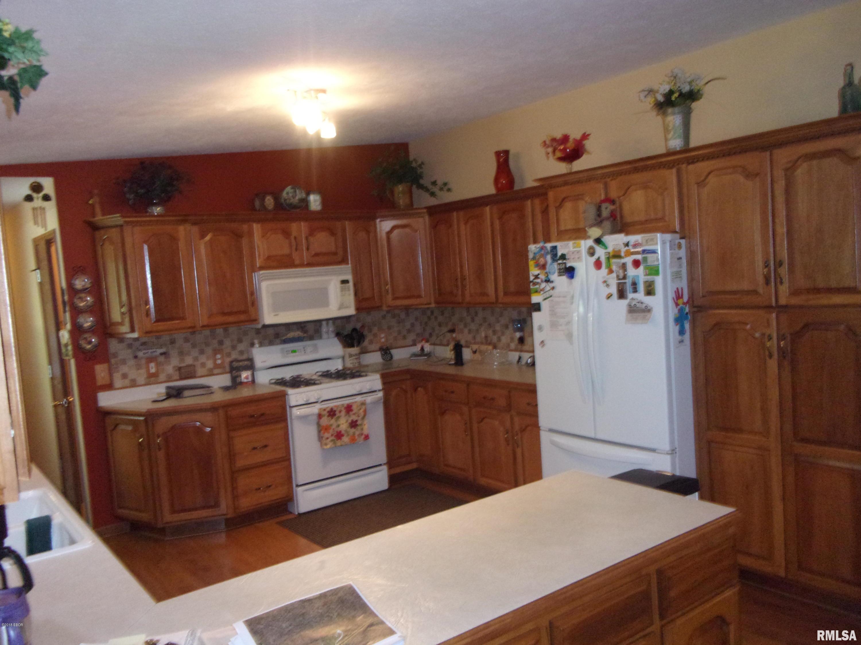 7785 Gray Road Alma, IL 62807 - Photo 7 of 50