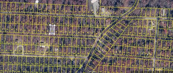 $2,500 | 0 Carp Drive, Buchanan, TN 38222