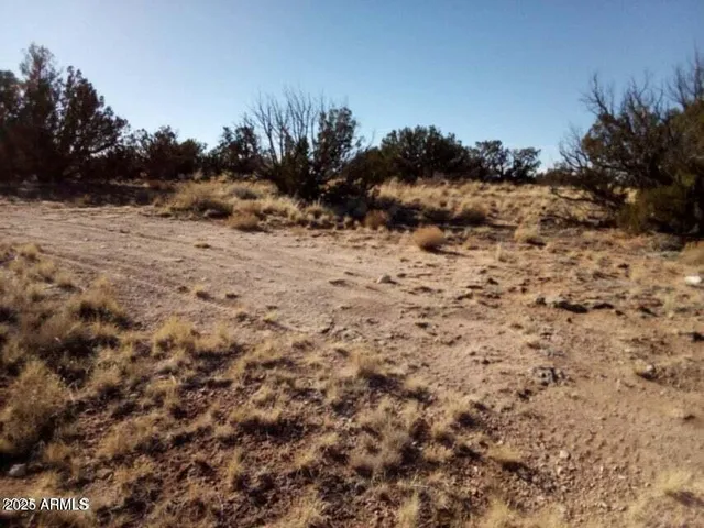 $89,500 | 5803 Dark Canyon Drive, Heber, AZ 85928