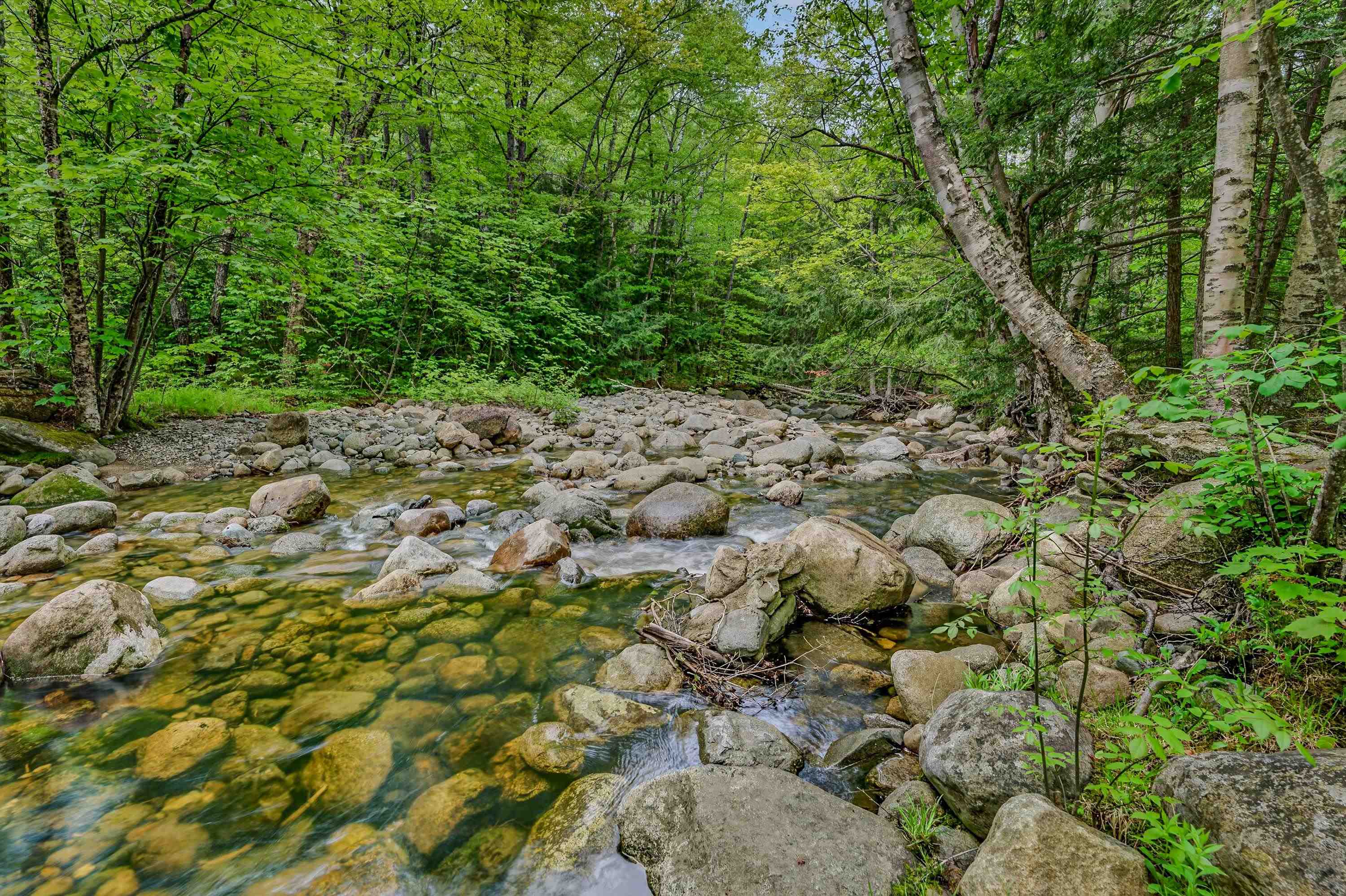 369 Reel Brook Road Easton, NH 03580 - Photo 4 of 47