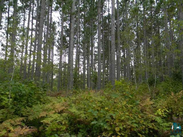 0 Wasko Road Solon Springs, WI 54873 - Photo 3 of 6