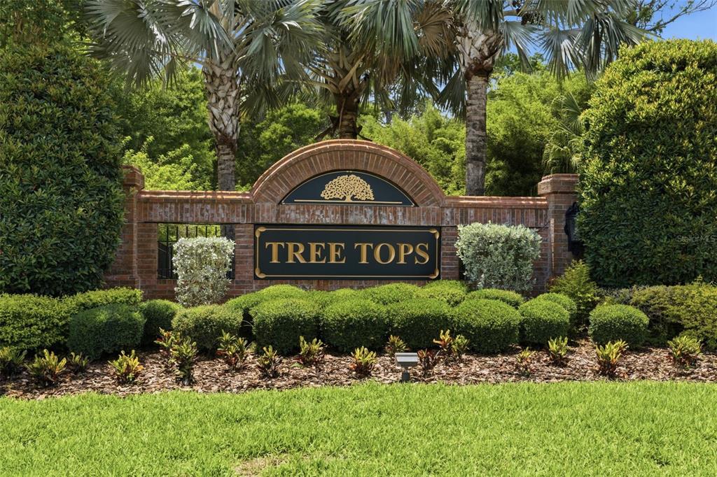 9409 Tree Tops Lake Road Tampa, FL 33626 - Photo 89 of 97