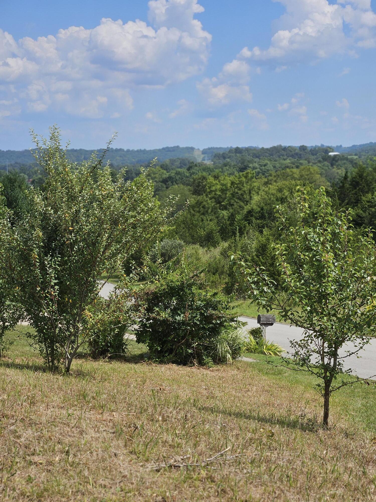 6 Links View Drive Butler, KY 41006 - Photo 1 of 9