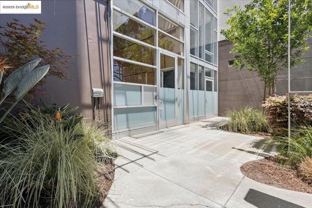 a view of front door and potted plants