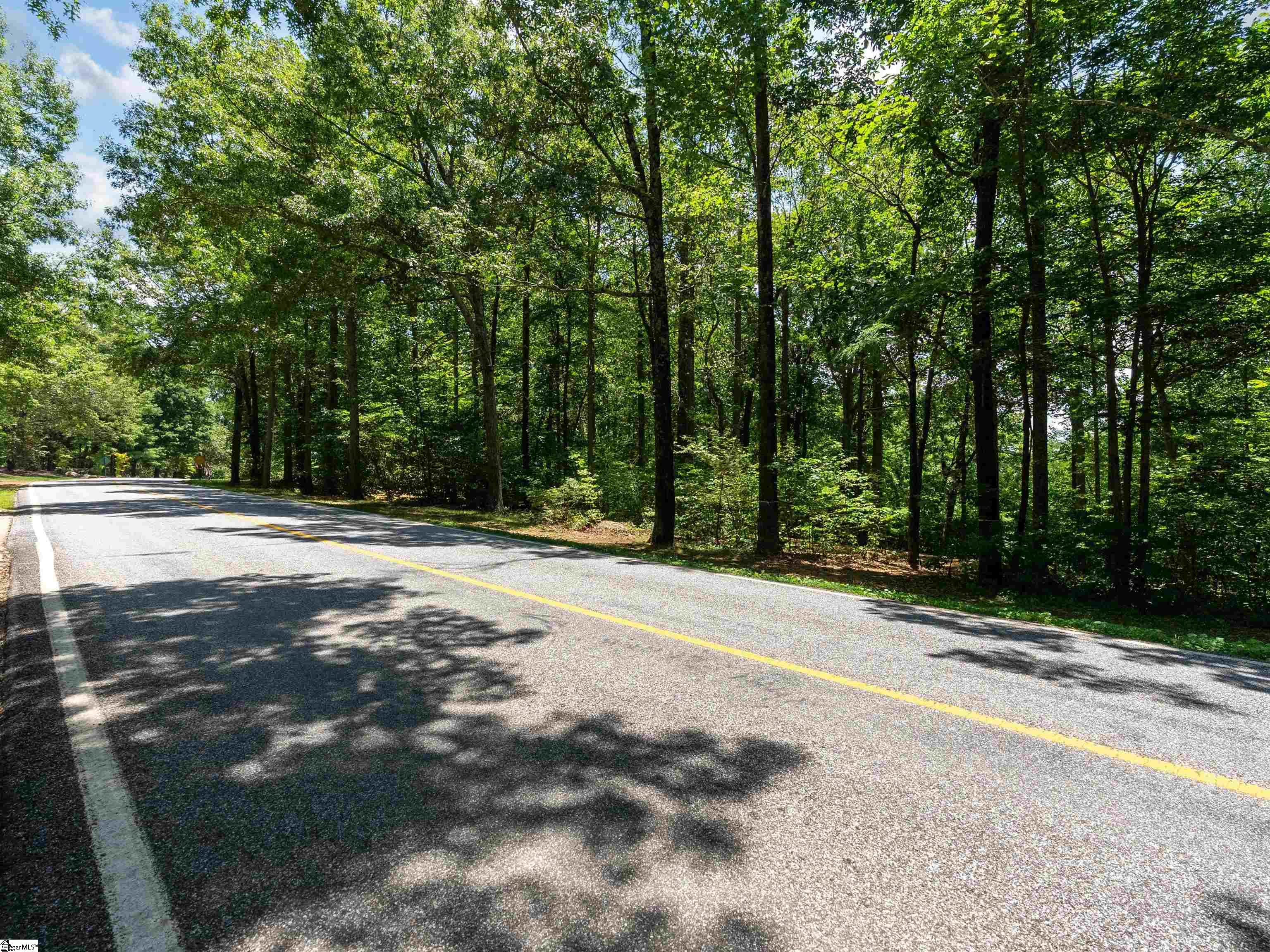 Lot 22 Plumley Summit Road Landrum, SC 29356 - Photo 20 of 27