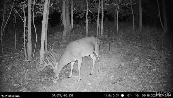 $2,600,000 | 0 Kedron Road, Equality, IL 62934