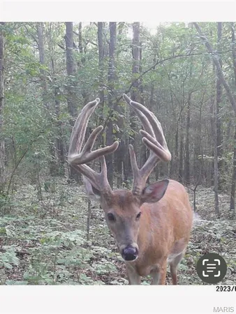 $2,600,000 | 0 Kedron Road, Equality, IL 62934