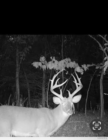 $2,600,000 | 0 Kedron Road, Equality, IL 62934