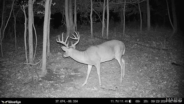 $2,600,000 | 0 Kedron Road, Equality, IL 62934