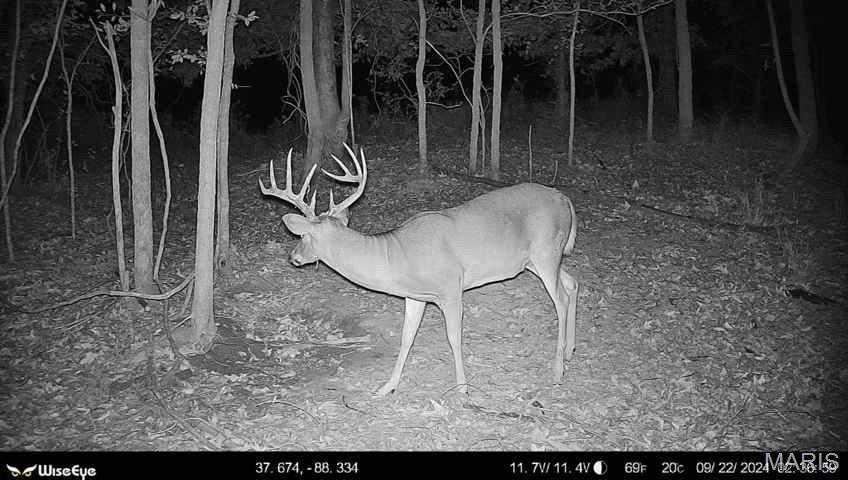 0 Kedron Road Equality, IL 62934 - Photo 16 of 70