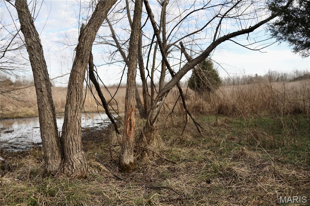 0 Kedron Road Equality, IL 62934 - Photo 17 of 70