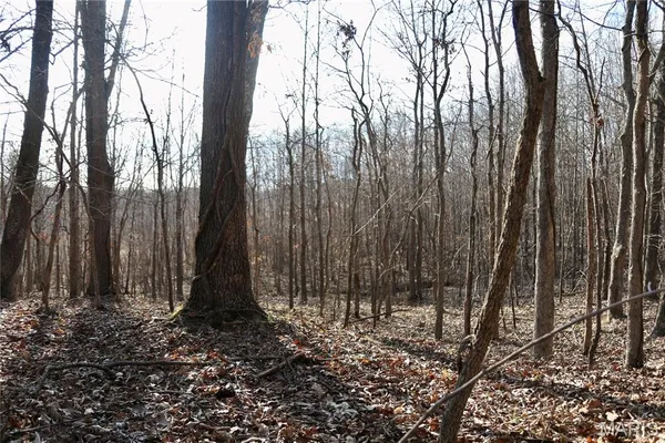 $2,600,000 | 0 Kedron Road, Equality, IL 62934