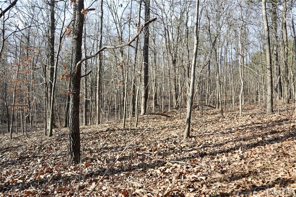 0 Kedron Road Equality, IL 62934 - Photo 19 of 70