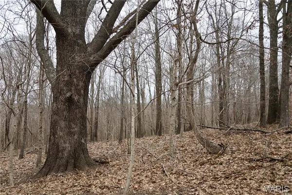 $2,600,000 | 0 Kedron Road, Equality, IL 62934