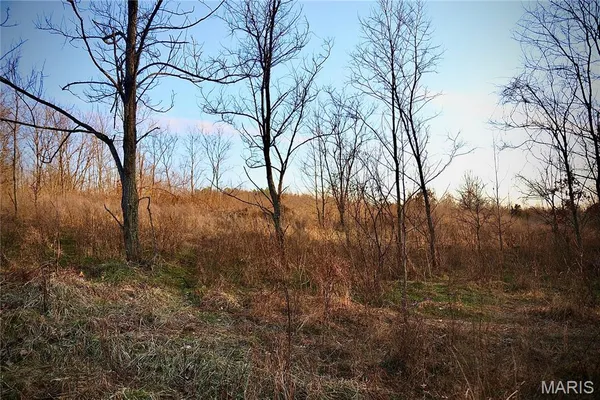 $2,600,000 | 0 Kedron Road, Equality, IL 62934