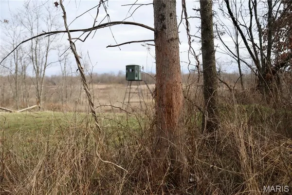 $2,600,000 | 0 Kedron Road, Equality, IL 62934