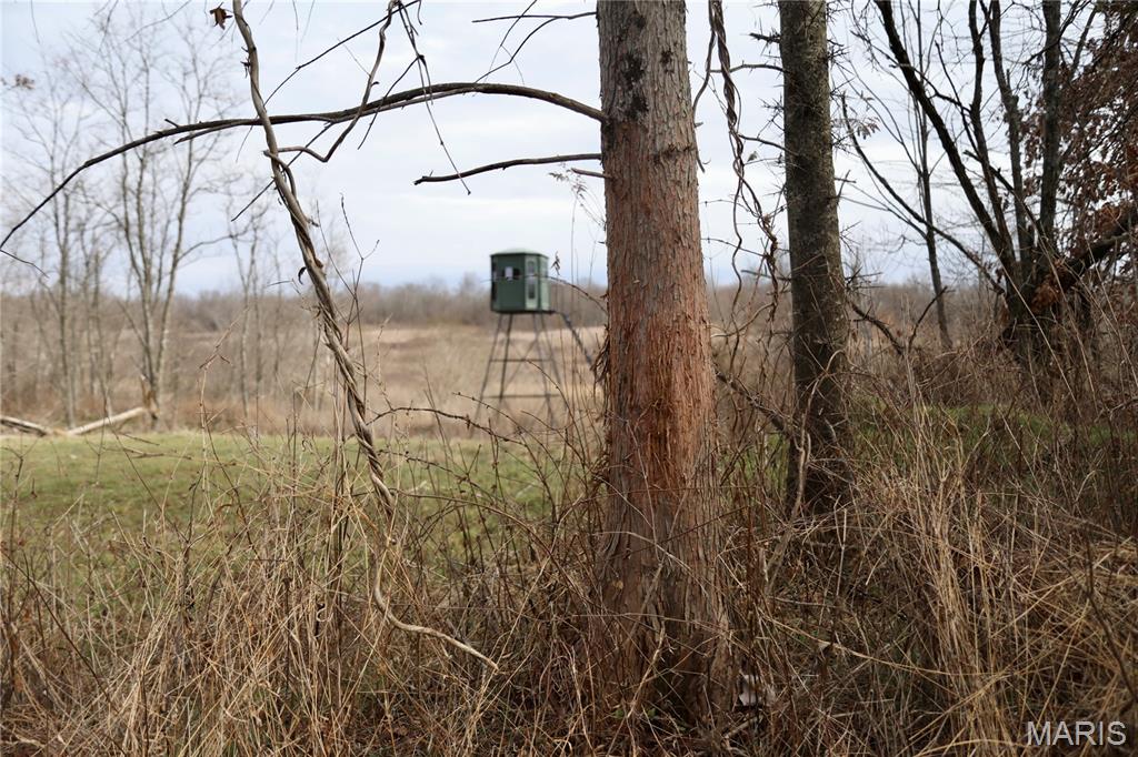 0 Kedron Road Equality, IL 62934 - Photo 22 of 70