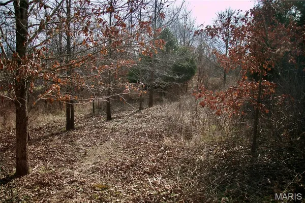 $2,600,000 | 0 Kedron Road, Equality, IL 62934