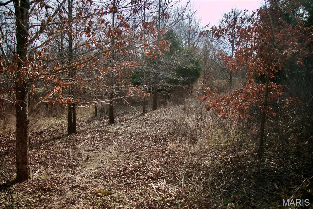 0 Kedron Road Equality, IL 62934 - Photo 25 of 70