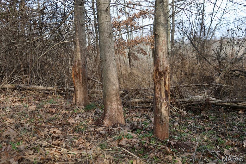 0 Kedron Road Equality, IL 62934 - Photo 26 of 70