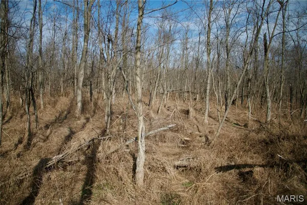 $2,600,000 | 0 Kedron Road, Equality, IL 62934