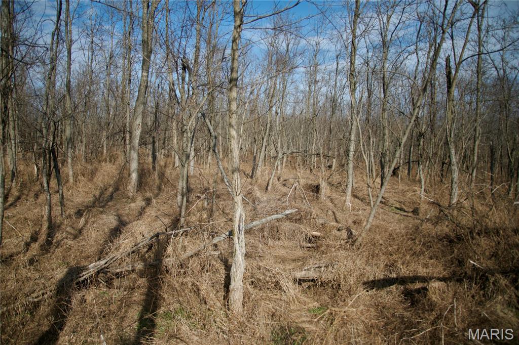 0 Kedron Road Equality, IL 62934 - Photo 27 of 70