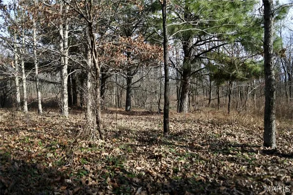 $2,600,000 | 0 Kedron Road, Equality, IL 62934