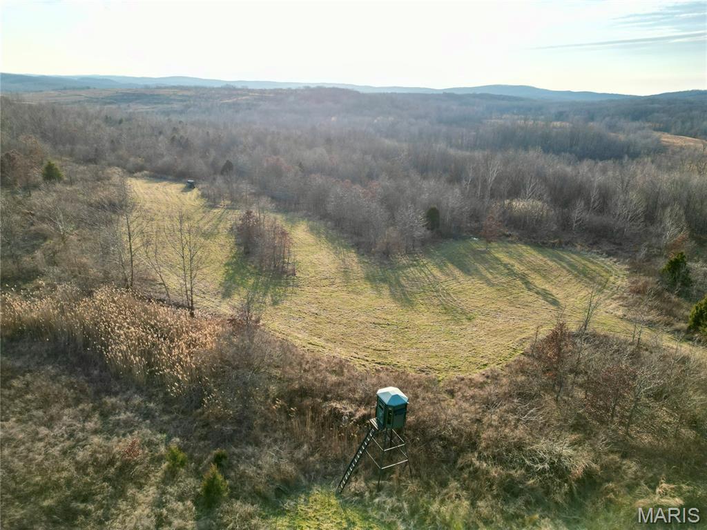 0 Kedron Road Equality, IL 62934 - Photo 29 of 70