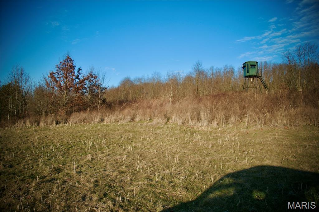 0 Kedron Road Equality, IL 62934 - Photo 30 of 70