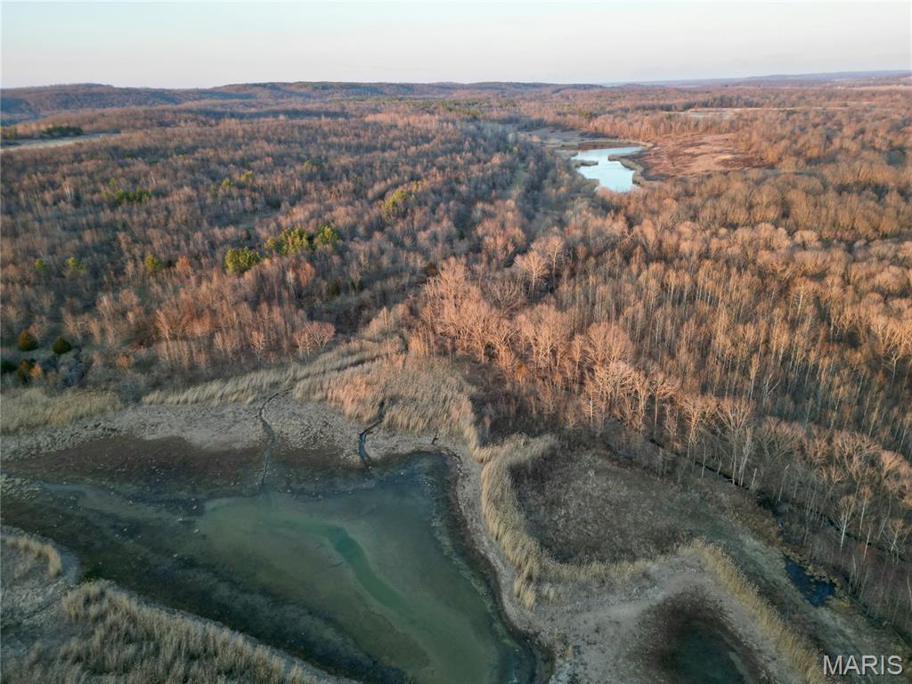 0 Kedron Road Equality, IL 62934 - Photo 3 of 70