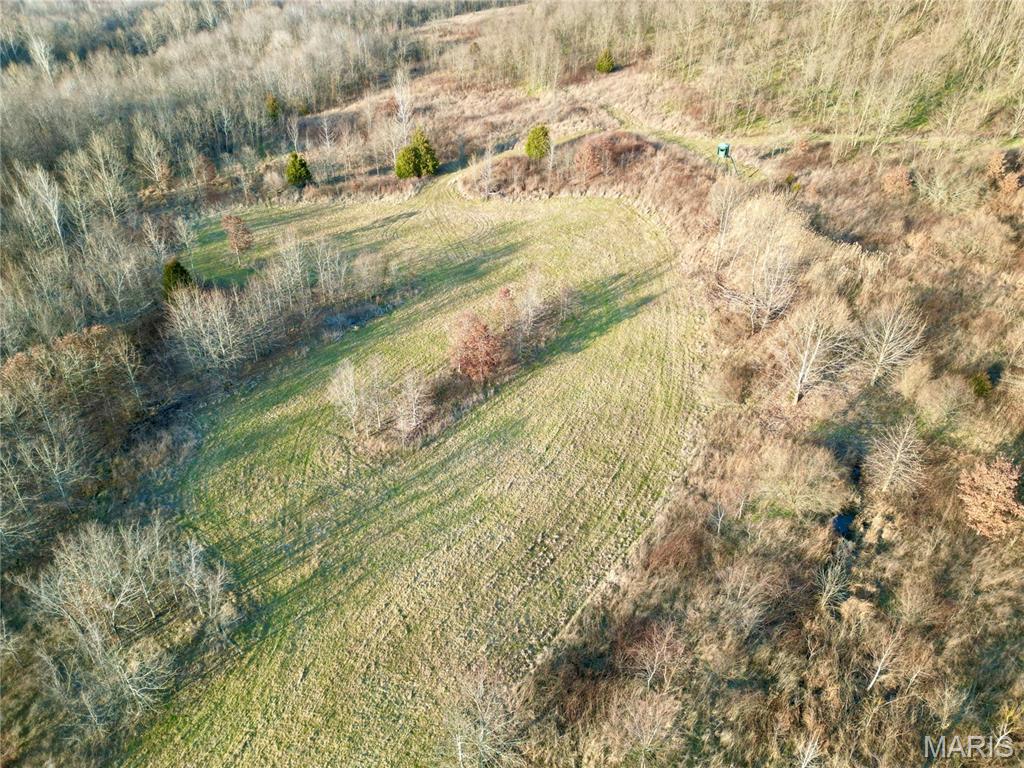 0 Kedron Road Equality, IL 62934 - Photo 31 of 70