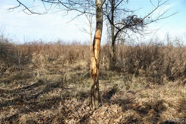 $2,600,000 | 0 Kedron Road, Equality, IL 62934