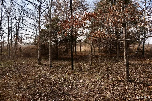 $2,600,000 | 0 Kedron Road, Equality, IL 62934