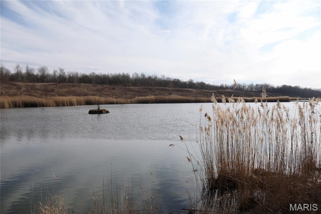 0 Kedron Road Equality, IL 62934 - Photo 35 of 70