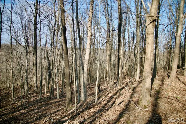 $2,600,000 | 0 Kedron Road, Equality, IL 62934