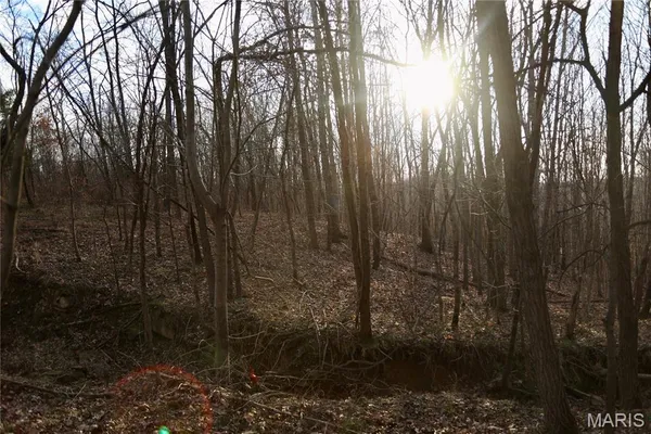 $2,600,000 | 0 Kedron Road, Equality, IL 62934