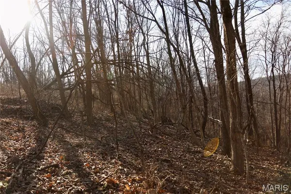 $2,600,000 | 0 Kedron Road, Equality, IL 62934